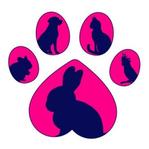 all paws directory 01 08