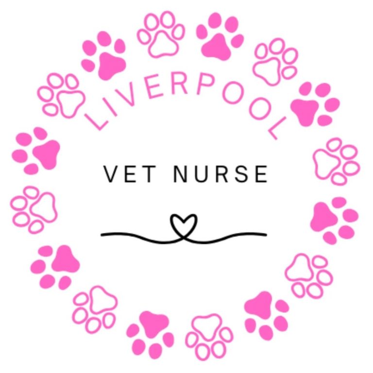 495906020 17845564104472543 6345713150342066208 n 768x768