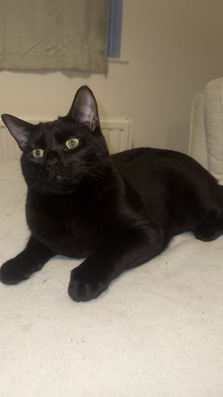 965FC58A 7B08 4656 A4D0 6A4B0F7448B1 768x1365