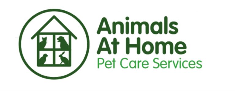 inbound1928818444053811629 1 768x299