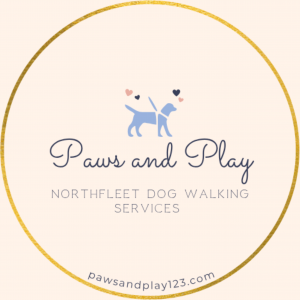 inbound8831853211451144467 300x300