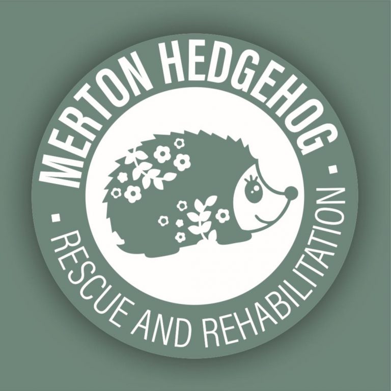 merton hedgehog rescue 1 768x768
