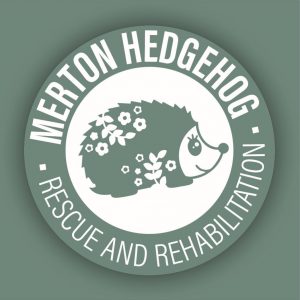 merton hedgehog rescue 300x300